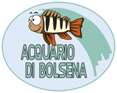  Acquario di Bolsena